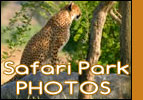 San Diego Zoo Safari Park Photos